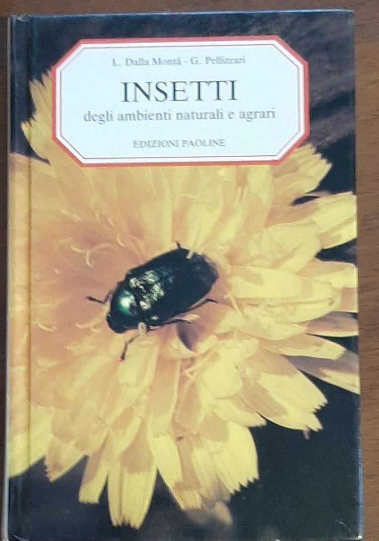 Librisaggi
