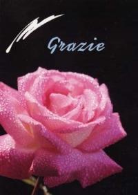 Grazie - copertina