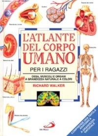 L'  atlante del corpo umano per i ragazzi. Ossa, muscoli e organi a grandezza naturale a colori - Richard Walker - copertina