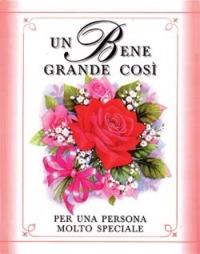 Un bene grande così. Per una persona molto speciale - copertina