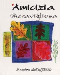 Amicizia meravigliosa - copertina