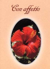 Con affetto - copertina
