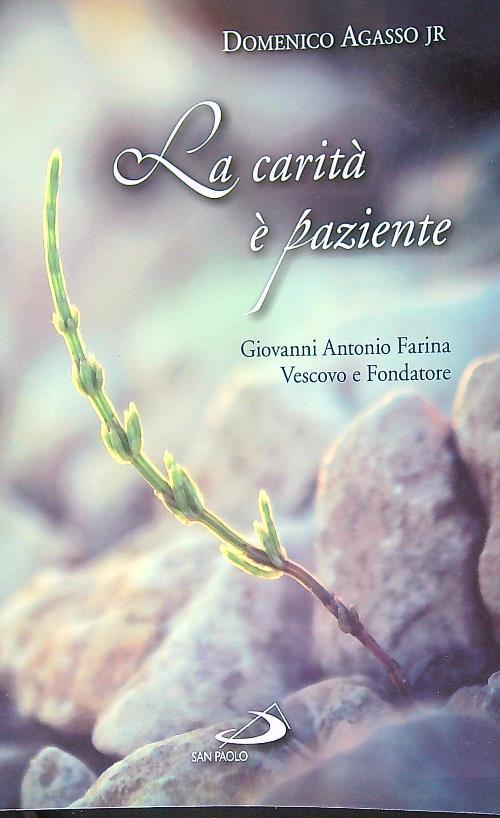 La carità è paziente. Giovanni Antonio Farina vescovo e fondatore