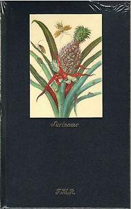 Suriname ovvero avventure nella Guyana olandese alla caccia di schiavi fuggiaschi e di insetti tropicali -  Martine Buysschaert - copertina
