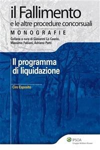 Il programma di liquidazione - Ciro Esposito - ebook