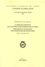 La sfida dei terawatt: quale ricerca per l'energia del futuro? XXXI Giornata dell'ambiente (Roma, 5-6 Novembre 2013). Ediz. italiana e inglese