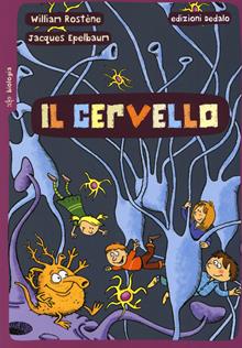 Il cervello