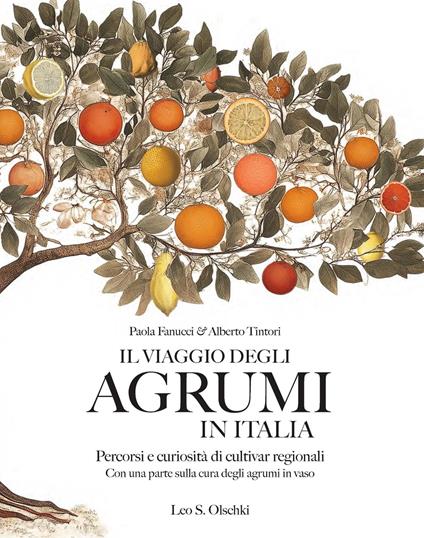 Il viaggio degli agrumi in Italia. Percorsi e curiosità di cultivar regionali. Con una parte sulla cura degli agrumi in vaso. Ediz. a colori - Paola Fanucci,Alberto Tintori - copertina