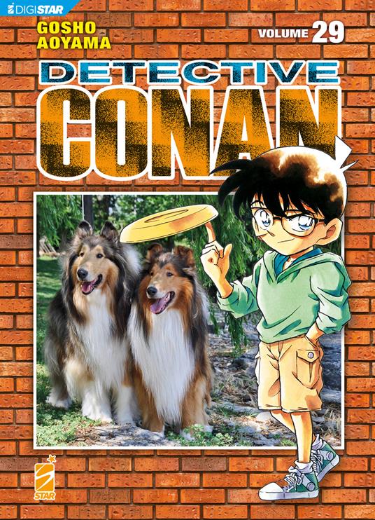 Detective Conan 29 - Gosho Aoyama - ebook