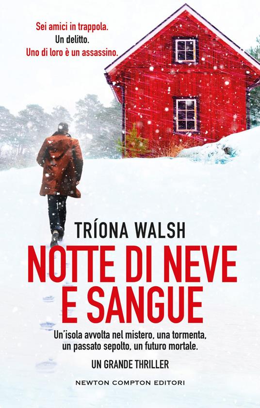 Notte di neve e sangue - Triona Walsh,Carlotta Mele - ebook