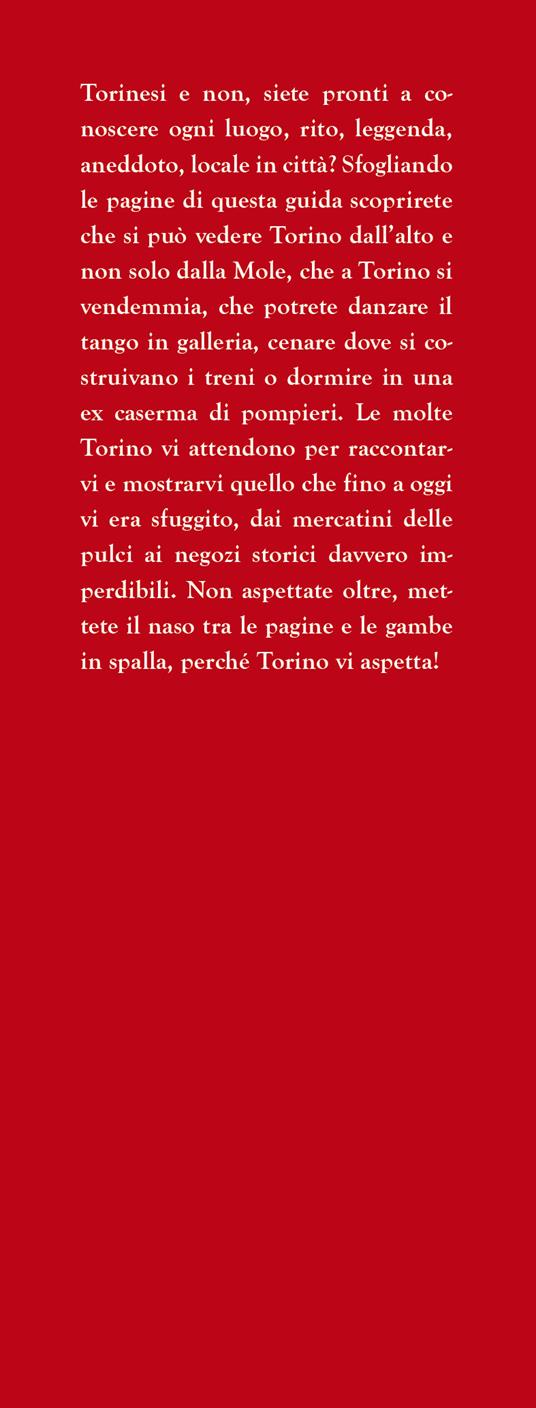 Guida di Torino per veri torinesi. Magie e fantasmi, campanili e grattacieli, cioccolato e caffè: un viaggio nelle mille sfaccettature segrete del capoluogo piemontese - Daniela Schembri Volpe - 2
