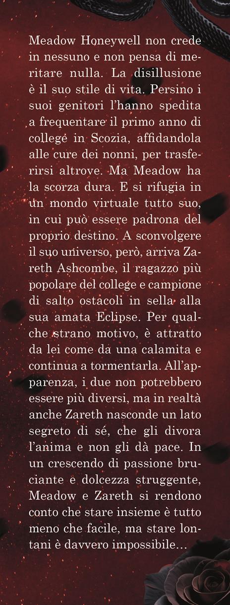 La simmetria dei riflessi imperfetti - Laura Rocca - 2