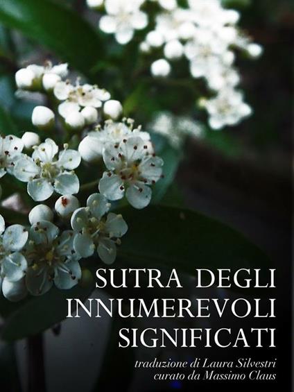 Sutra degli innumerevoli significati - Massimo Claus,Laura Silvestri - ebook