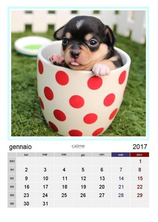 Calendario amici a 4 zampe 2017 - Nickust G. F. - ebook