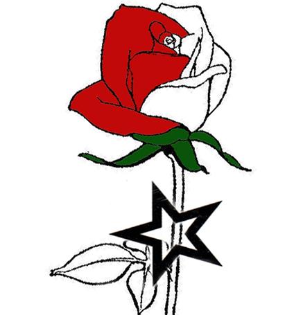 La congrega della stella - Eleonora Gurrieri - ebook