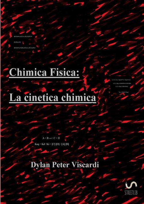 Chimica fisica. La cinetica chimica - Dylan Peter Viscardi - copertina