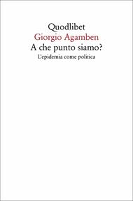 A che punto siamo? L'epidemia come politica