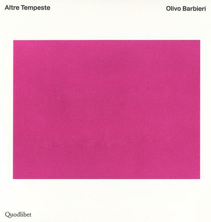 Altre tempeste. Ediz. italiane e inglese - Olivo Barbieri - copertina