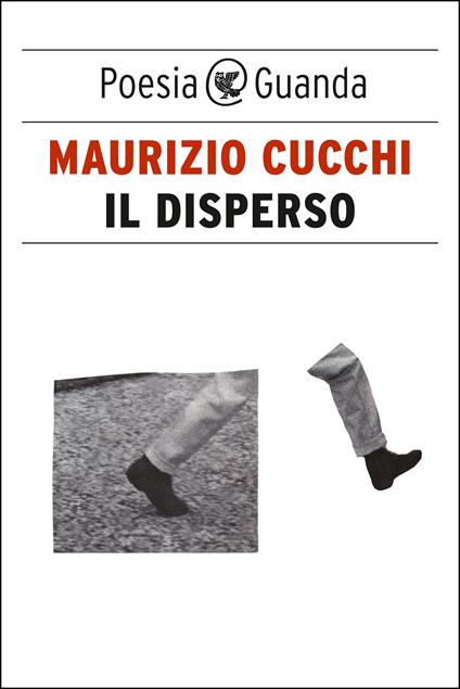 Il disperso - Maurizio Cucchi - ebook