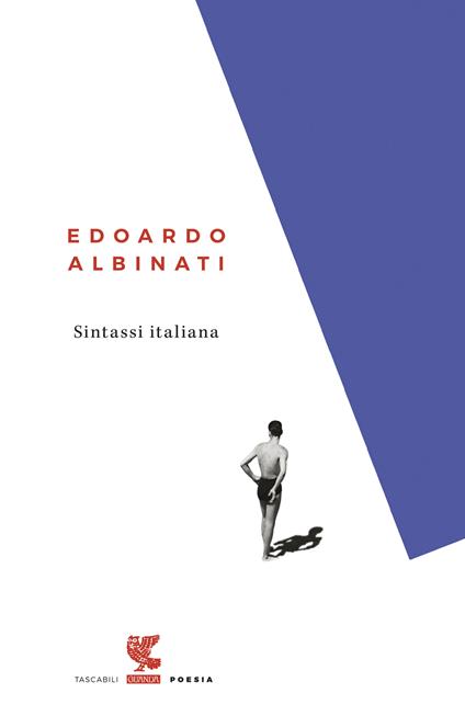 Sintassi italiana - Edoardo Albinati - copertina