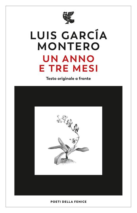 Un anno e tre mesi. Testo originale a fronte - Garcia Montero Luis - copertina