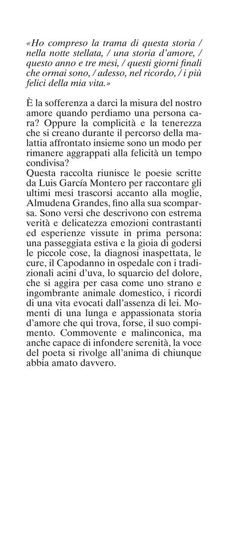 Un anno e tre mesi. Testo originale a fronte - Garcia Montero Luis - 2