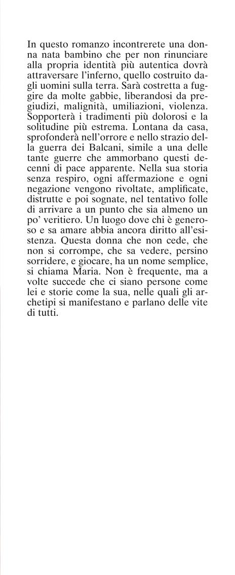 Il ritorno - Marco Vichi - 2