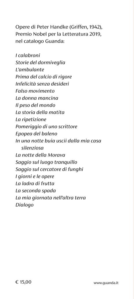 Pomeriggio di uno scrittore - Peter Handke - 3