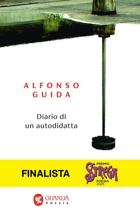 Diario di un autodidatta - Alfonso Guida - copertina