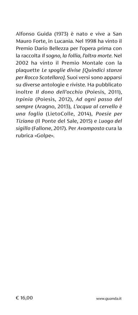 Diario di un autodidatta - Alfonso Guida - 3
