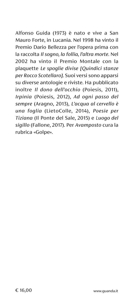 Diario di un autodidatta - Alfonso Guida - 3
