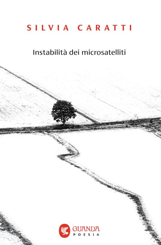 Instabilità dei microsatelliti - Silvia Caratti - copertina