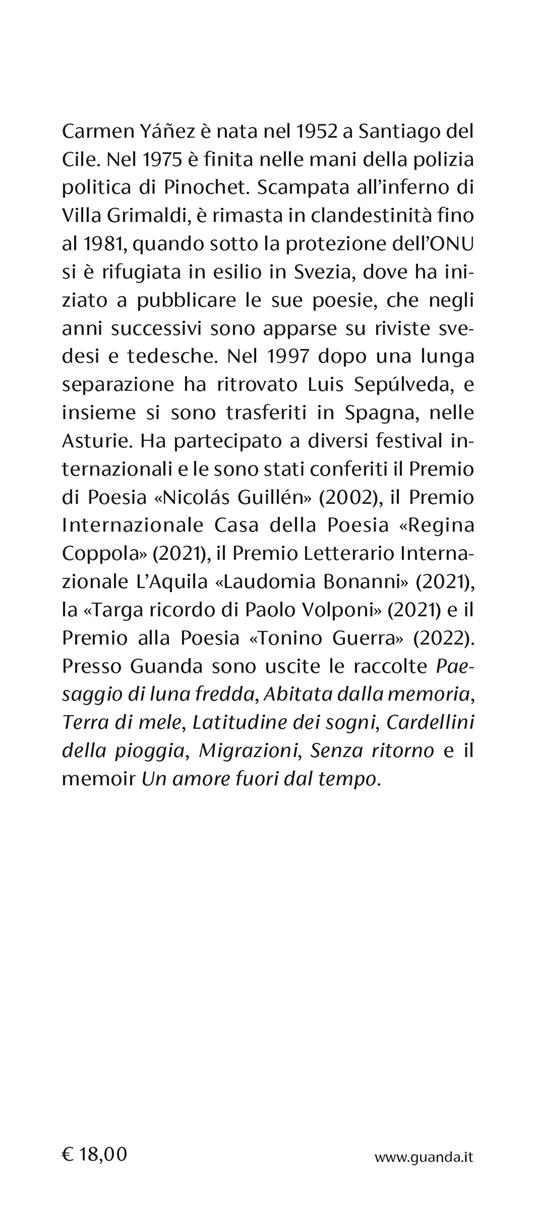 Il mestiere della solitudine - Carmen Yáñez - 3