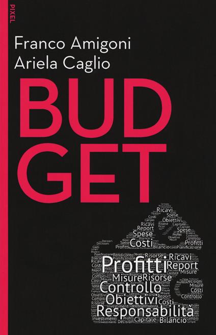 Budget. Con Contenuto digitale per download e accesso on line - Franco Amigoni,Ariela Caglio - copertina