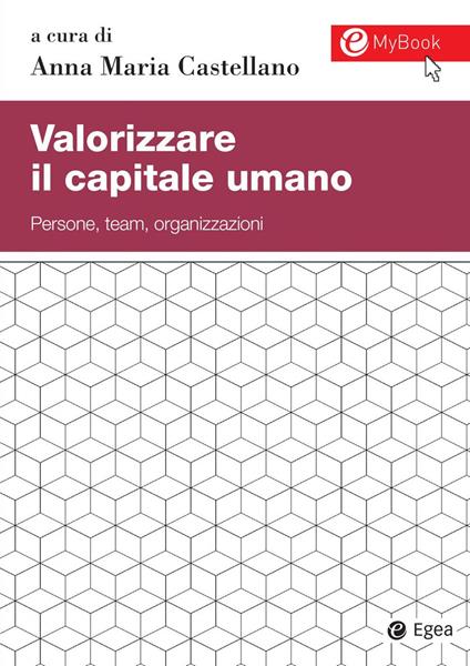 Valorizzare il capitale umano. Persone, team, organizzazioni. Con aggiornamento online - copertina