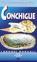 Conchiglie - Bruno Sabelli - copertina