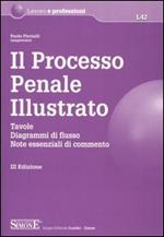 Il processo penale illustrato. Tavole, diagrammi di flusso, note essenziali di commento