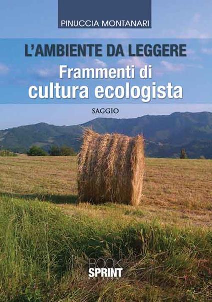 L' ambiente da leggere - Pinuccia Montanari - copertina