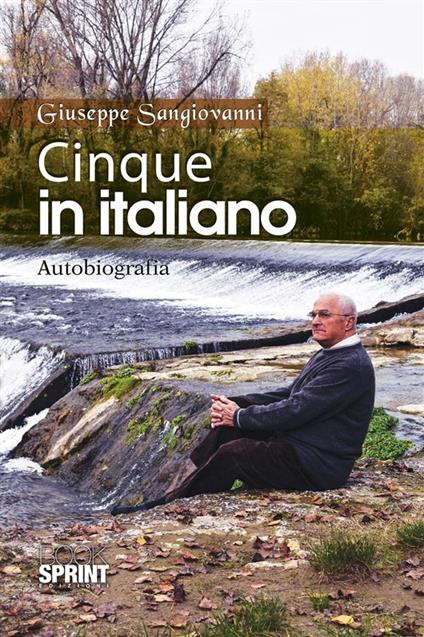 Cinque in italiano - Giuseppe Sangiovanni - ebook
