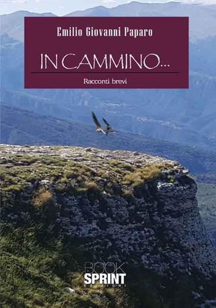 In cammino... - Emilio Giovanni Paparo - copertina