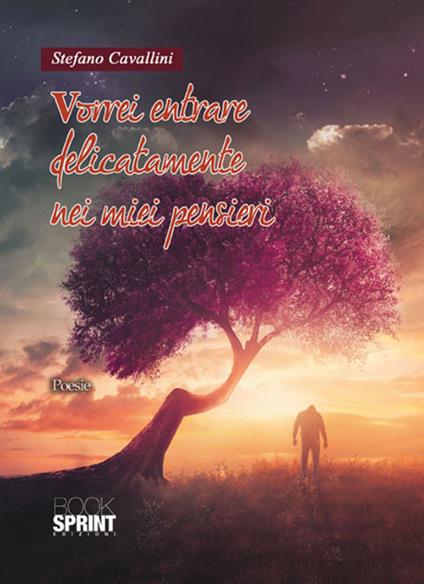 Vorrei entrare delicatamente nei miei pensieri - Stefano Cavallini - copertina