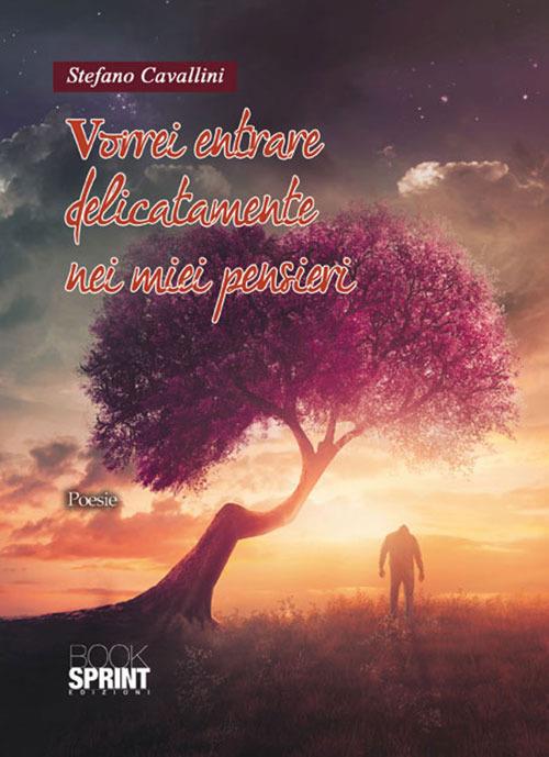 Vorrei entrare delicatamente nei miei pensieri - Stefano Cavallini - copertina