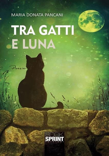Tra gatti e luna - Maria Donata Pancani - copertina