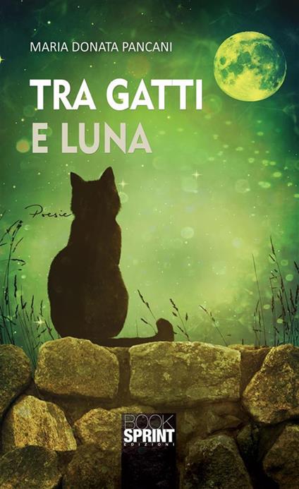 Tra gatti e luna - Maria Donata Pancani - ebook