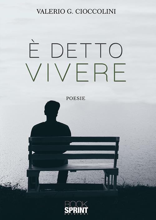 È detto vivere - Valerio G. Cioccolini - copertina