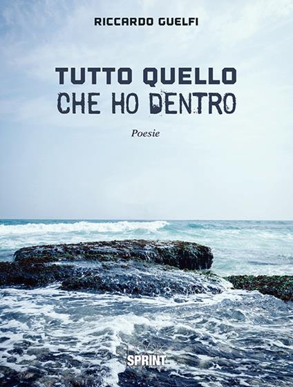 Tutto quello che ho dentro - Riccardo Guelfi - copertina