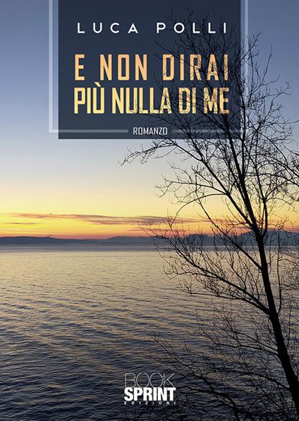 E non dirai più nulla di me - Luca Polli - copertina