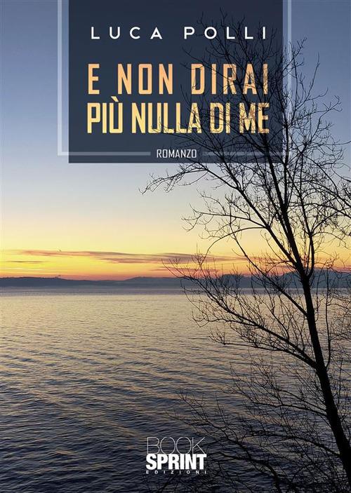 E non dirai più nulla di me - Luca Polli - ebook