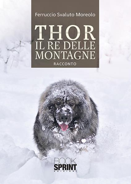 Thor il re delle montagne - Ferruccio Svaluto Moreolo - copertina