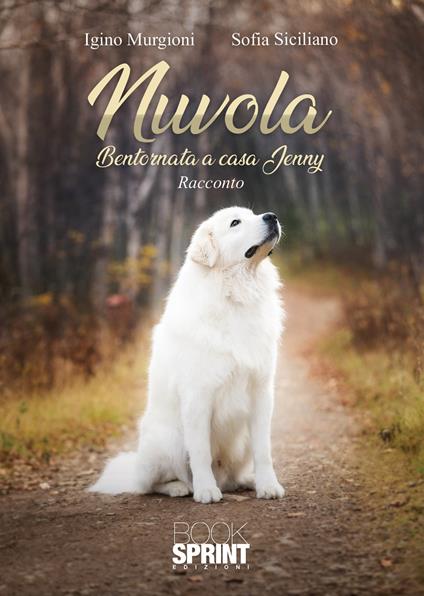 Nuvola. Bentornata a casa Jenny - Igino Murgioni - copertina